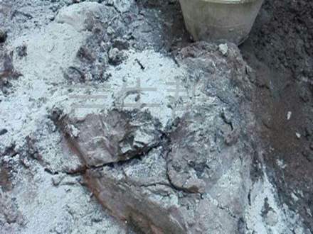 圖片關(guān)鍵詞