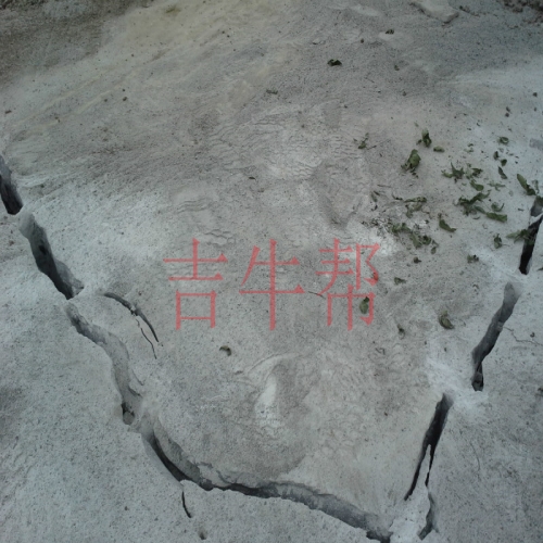 河南某工廠內(nèi)部基礎設施拆除項目